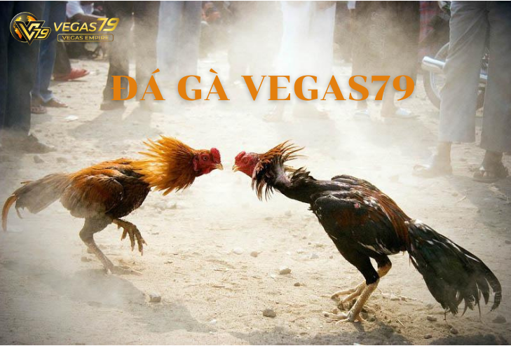 Đá gà vegas79